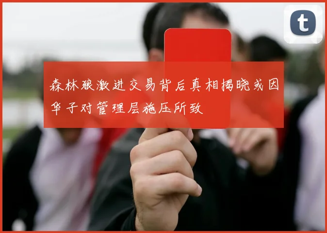 森林狼激进交易背后真相揭晓或因华子对管理层施压所致