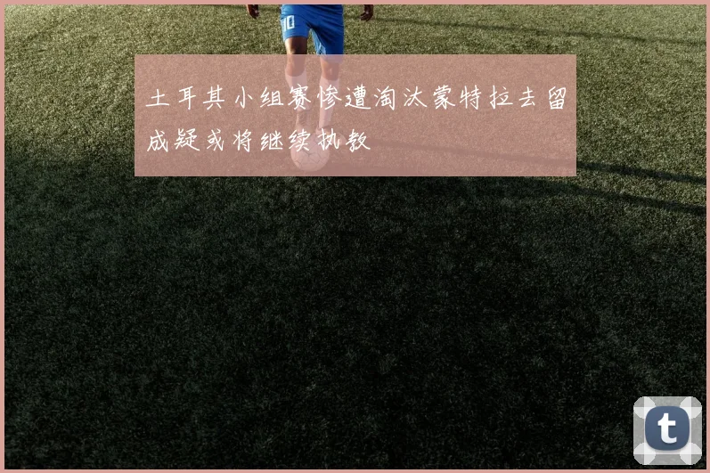 土耳其小组赛惨遭淘汰蒙特拉去留成疑或将继续执教